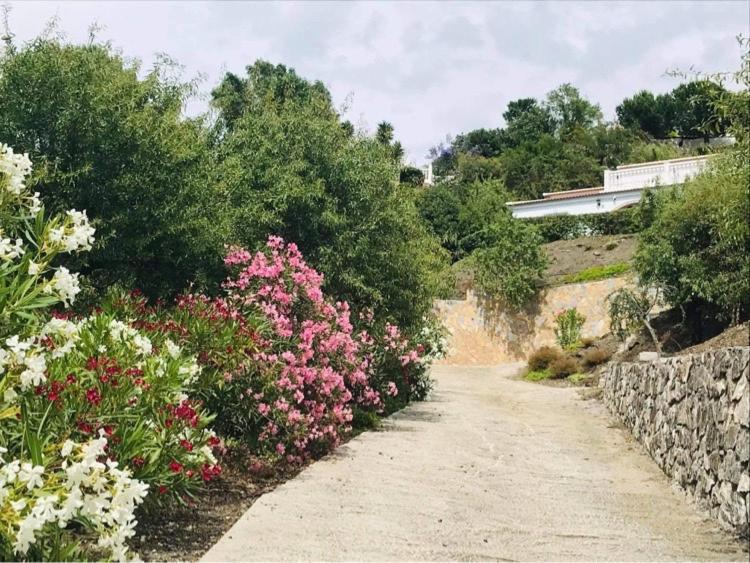 Casa Los Almendros Canillas de Albaida Zewnętrze zdjęcie